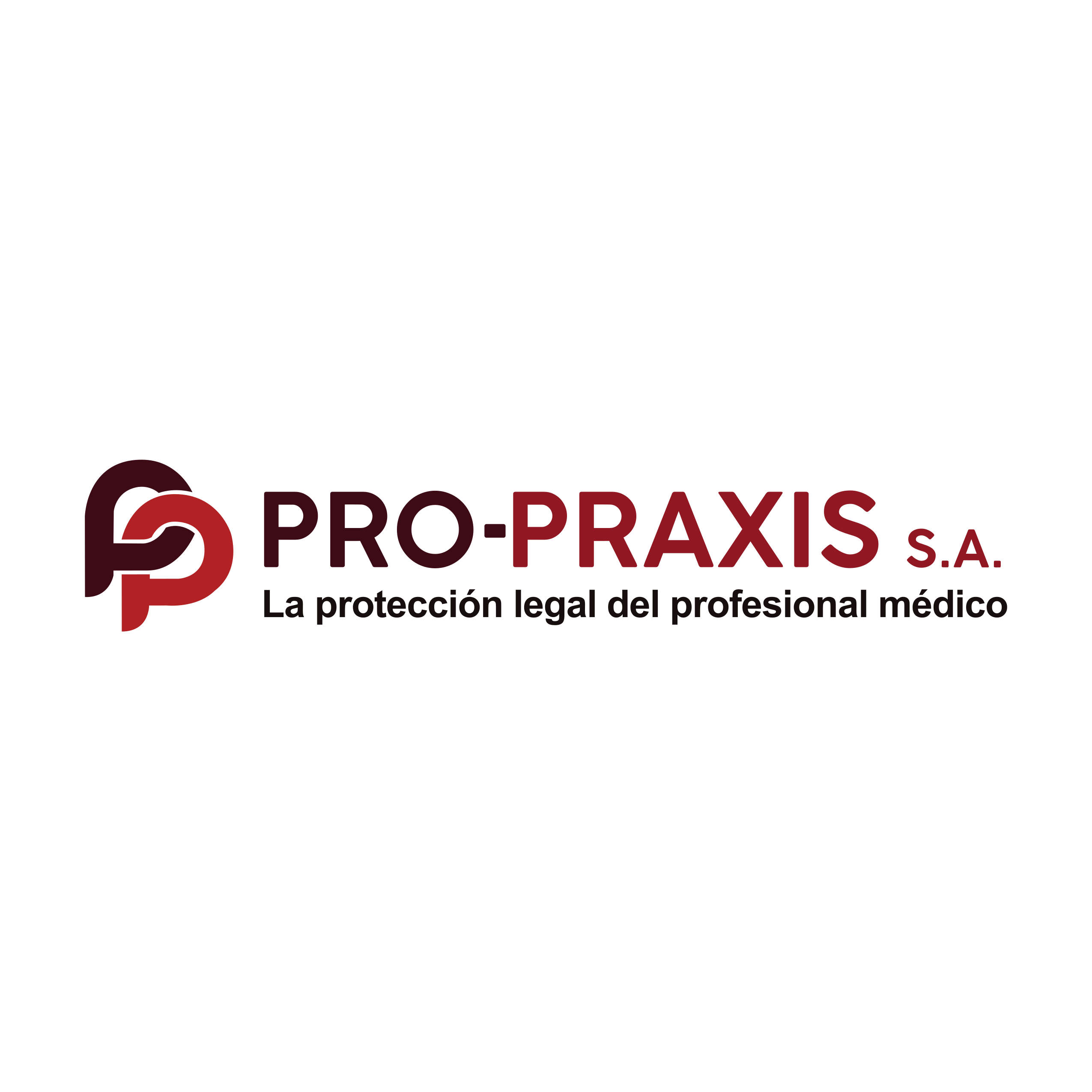 Pro-Praxis